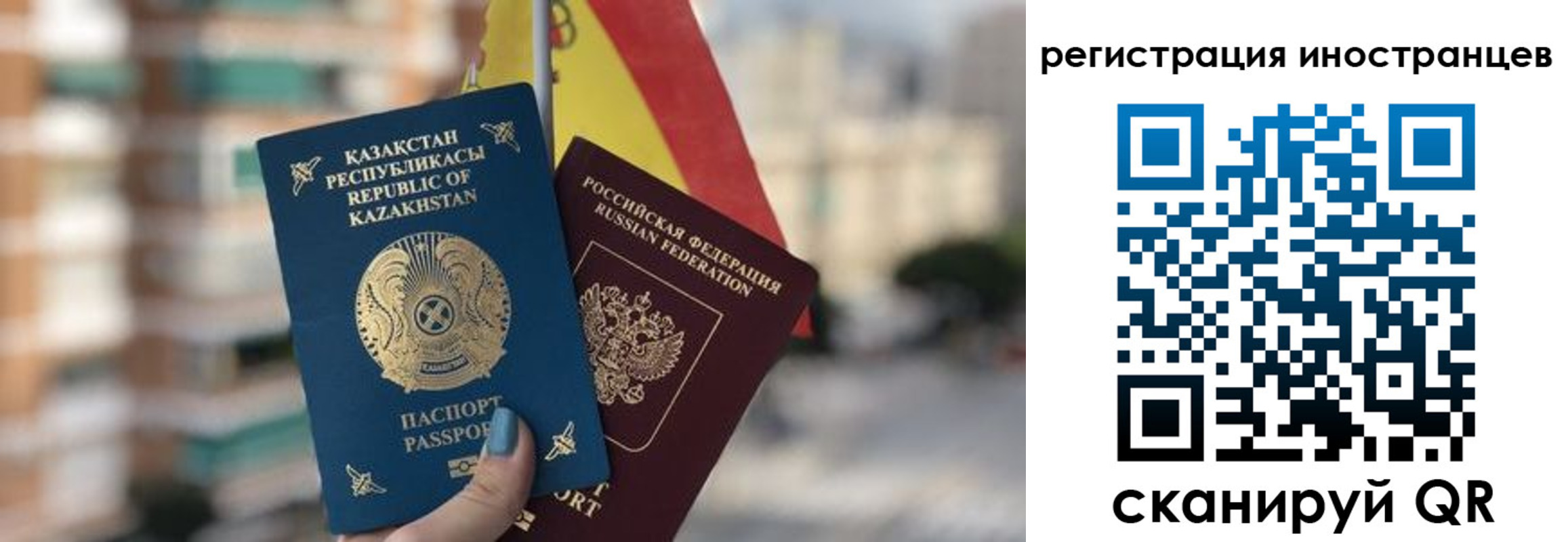 прописка паспорт в Димитровграде